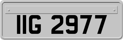 IIG2977