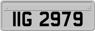 IIG2979