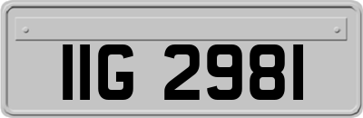 IIG2981