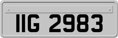 IIG2983