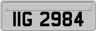 IIG2984