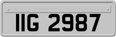 IIG2987