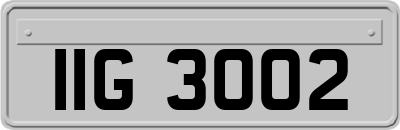 IIG3002