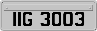 IIG3003