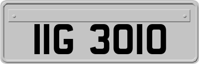 IIG3010