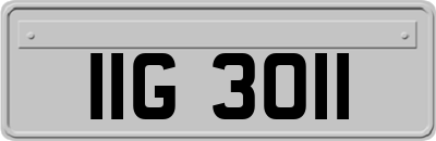 IIG3011