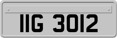 IIG3012