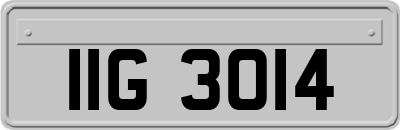 IIG3014
