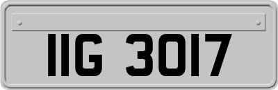 IIG3017