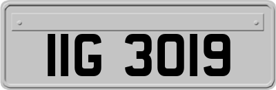 IIG3019