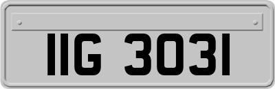 IIG3031