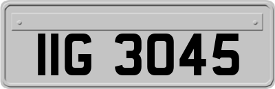 IIG3045
