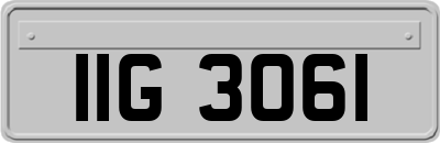 IIG3061