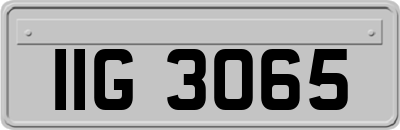 IIG3065