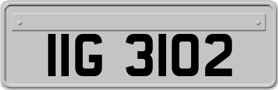 IIG3102