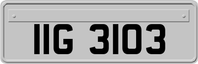 IIG3103