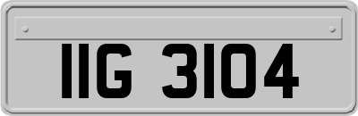 IIG3104