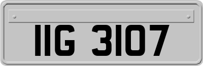 IIG3107