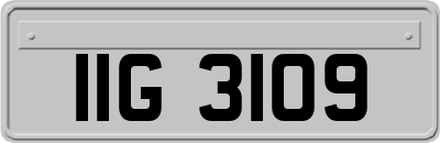 IIG3109