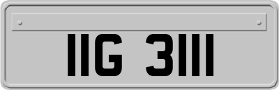 IIG3111