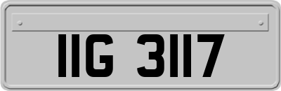 IIG3117