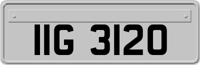 IIG3120