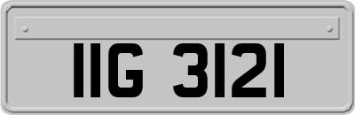 IIG3121