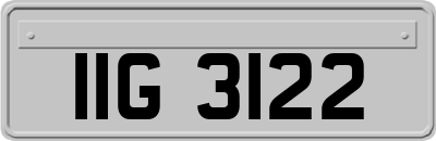 IIG3122
