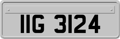 IIG3124