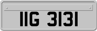 IIG3131
