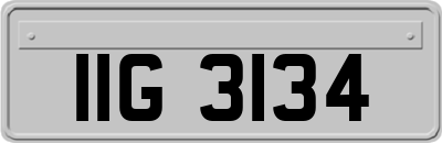 IIG3134