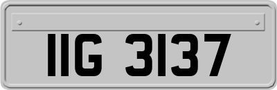 IIG3137