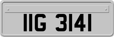 IIG3141