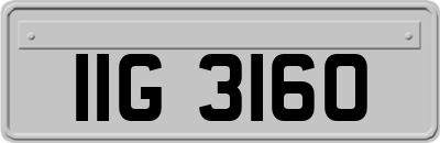 IIG3160