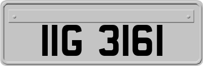 IIG3161