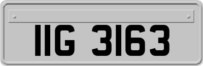 IIG3163
