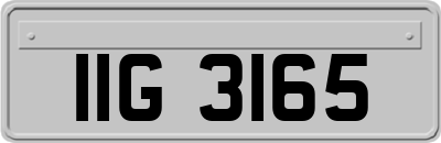IIG3165