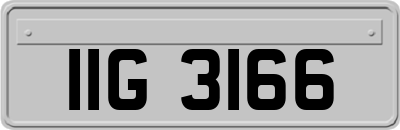 IIG3166