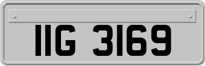 IIG3169