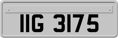 IIG3175