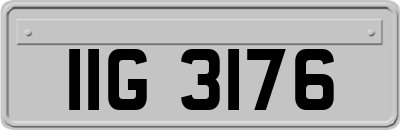 IIG3176