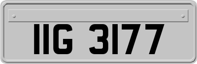 IIG3177