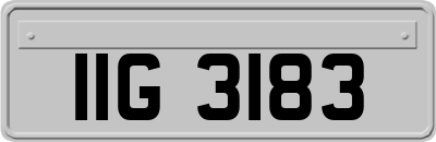 IIG3183