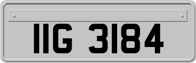 IIG3184