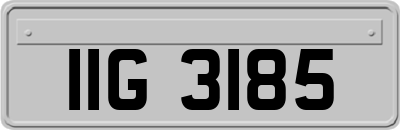 IIG3185