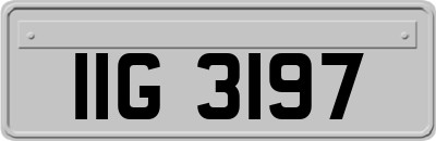 IIG3197