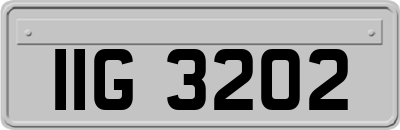 IIG3202