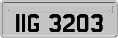 IIG3203