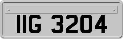 IIG3204
