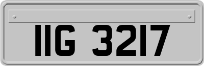 IIG3217